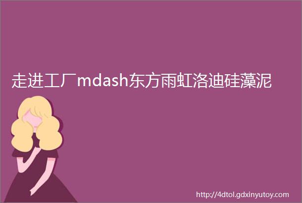 走进工厂mdash东方雨虹洛迪硅藻泥